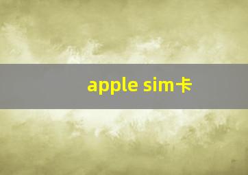 apple sim卡